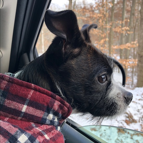 Meet your Posher, Aaron - Picture 1 of 1